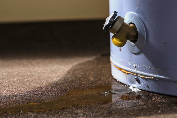 Best Flooded house restoration  in Tresckow, PA