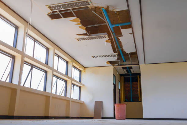 Best Fire Damage Restoration  in Tresckow, PA