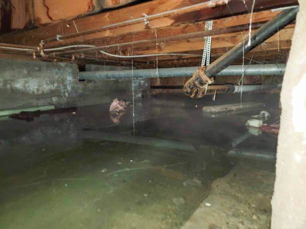Best Flood restoration services  in Tresckow, PA