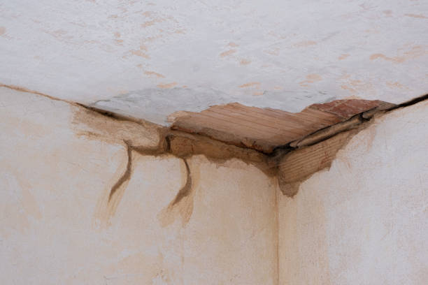 Best Basement water damage restoration  in Tresckow, PA