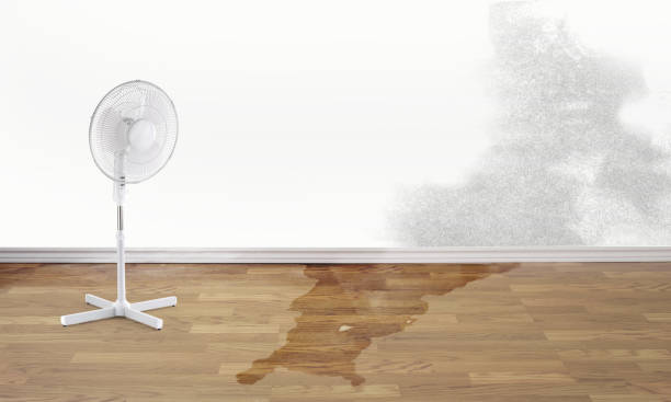 24/7 water damage repair in Tresckow, PA