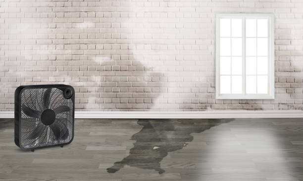 Best Water damage restoration near me  in Tresckow, PA