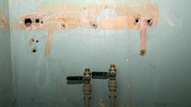 Best Residential water damage restoration  in Tresckow, PA