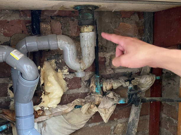 Best Water damage cleanup near me  in Tresckow, PA